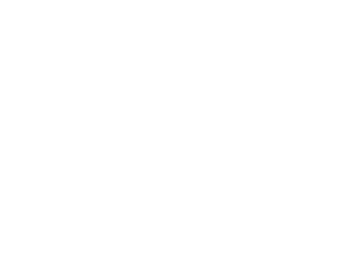 logo cinzia seccia coaching home